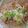 klizzy's cooksnap of when they made Slow cooker Authentic Shredded Chicken Tacos.