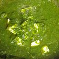 Hema Wane's cooksnap of when they made पालक पनीर (palak paneer recipe in marathi).
