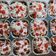 Cooksnap dari Mita novin untuk resep Makaroni schotel [panggang / kukus]