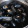 El cooksnap de Manoli Garcia Muñoz cuando hizo Mejillones al cava.