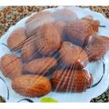 کوک اسنپ Rezvane401 بعد از امتحان کردن دونات فوری بدون خمیر مایه🍩.