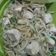Cooksnap dari Echy Fairuz Azura untuk resep Tumis Tahu Tauge Daun Bawang