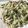 Shiksha Swami's cooksnap of when they made White pasta/macaroni.