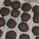 รูป Cooksnap ของ Eyeslin Nwr เมื่อเขาทำ Chocolate chip soft cookie คุกกี้กรอบนอกนุ่มใน