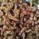 Cooksnap dari Naning Apriyanti untuk resep Kering tempe kacang