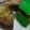 Cooksnap dari wilezid_kitchen untuk resep PANDAN SPONGE CAKE SIMPLE & LEMBUT
