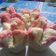 Cooksnap dari Farida Yuana untuk resep Bolu kukus mekar lembut