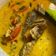 Cooksnap dari Diajeng Herinda Tiara Putri untuk resep Ikan Gabus santan kuning 🌼