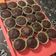 Adrienn Asztalos Cooksnap-ja, amikor elkészítette a(z) Nagyon csokis muffin receptet.