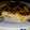 El cooksnap de Sole Salinas cuando hizo Tarta de Choclo Jamon Y queso.
