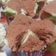 Cooksnap dari Windy Yuliany Warmin untuk resep bolu kukus santan