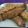 Cooksnap dari NOVI LIQUISSA untuk resep Thimpan kue khas aceh
