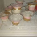Cooksnap dari Meiga Candinegara untuk resep Es Krim Susu 'homemade'