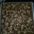 Cooksnap dari INDRIANA PANGESTI untuk resep Bolu Gula Merah Panggang