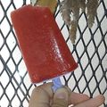 El cooksnap de Hele Risso cuando hizo Helados de palito de fruta🍓🍊.
