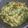 Cooksnap dari bdanandhitta untuk resep Sayur pakis(kelakai) kuah santan