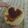 El cooksnap de Martina cuando hizo PEPAS en essen.