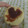 El cooksnap de Martina cuando hizo PEPAS en essen.