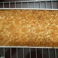 Cooksnap dari Ikayanti Riana Putri untuk resep Cake Tape Super Lembut & Wangi!