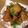 Felice's cooksnap of when they made Shallow-fry Breaded Fish.