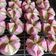 Cooksnap dari Atin untuk resep Bolu Kukus Neapolitan, Tanpa Soda, Tips Anti Gagal