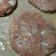Cooksnap dari Fitriana untuk resep Patty beef burger part 2