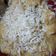 Cooksnap dari Puput Diyan Kristina untuk resep Bubur Pisang Keju Mayonaise