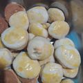 El cooksnap de melina cuando hizo Scones de YOGURT dulces 🥛.