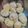 El cooksnap de melina cuando hizo Scones de YOGURT dulces 🥛.