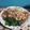 Cooksnap dari Wagiyah untuk resep Pokcoy Ayam Jamur Saus Tiram