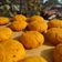 El cooksnap de Fernanda Robles cuando hizo Galletas veganas de zanahoria.