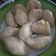Cooksnap dari Sukmawati Elsyah Putri untuk resep Pempek dos telur maknyus