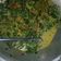 Cooksnap dari Lia Hayunigsih untuk resep Gulai daun singkong ndeso