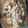 El cooksnap de minery alcantara cuando hizo Brócoli, bechamel de champiñones y bacon.