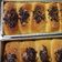 Cooksnap dari Widya Mak E Echa untuk resep Roti Sobek Super Empuk Anti gagal