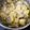El cooksnap de miguel Villalba cuando hizo Cardo con patatas.
