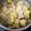 El cooksnap de miguel Villalba cuando hizo Cardo con patatas.