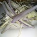 Farwa Ali's cooksnap of when they made Salad.