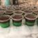 Cooksnap dari Windi Wulandari untuk resep Puding Lumut Pandan Cokelat