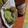 El cooksnap de Yolanda Celeste Banda cuando hizo Tacos con aderezo guacamole.