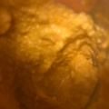 El cooksnap de Adriana Espinoza cuando hizo Salsa Huancaina.