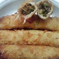Shazia Shakir's cooksnap of when they made Spring rolls.