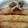 Shazia Shakir's cooksnap of when they made Spring rolls.