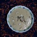 Tandra Nath's cooksnap of when they made হেম কণিকার পায়েশ (Hem konikar payesh recipe in bengali).