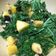 El cooksnap de Aurora Revenga Diaz cuando hizo Col Kale con Mango y Pipas.