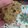 El cooksnap de Lube Lu cuando hizo 🍎 Galletitas de manzana, canela y granola 🍎 Masitas para el té 🫖☕.