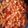 El cooksnap de AnaLi cuando hizo Chuletas de cerdo con pimientos y brócoli en salsa de jitomate.