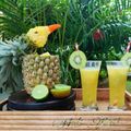 Neeti Patel's cooksnap of when they made પાઈનેપલ જ્યૂસ(Pineapple Juice Recipe in Gujarati).