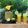 Neeti Patel's cooksnap of when they made પાઈનેપલ જ્યૂસ(Pineapple Juice Recipe in Gujarati).
