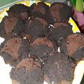 Cooksnap dari Siti Aminah untuk resep Brownies coklat kukus simple